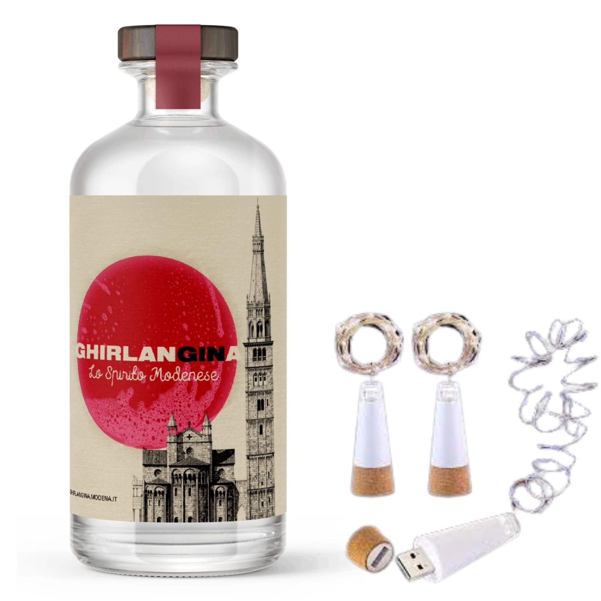 GhirlanGINa + 💡 Kit Lampada Led Ricaricabile - GhirlanGINa